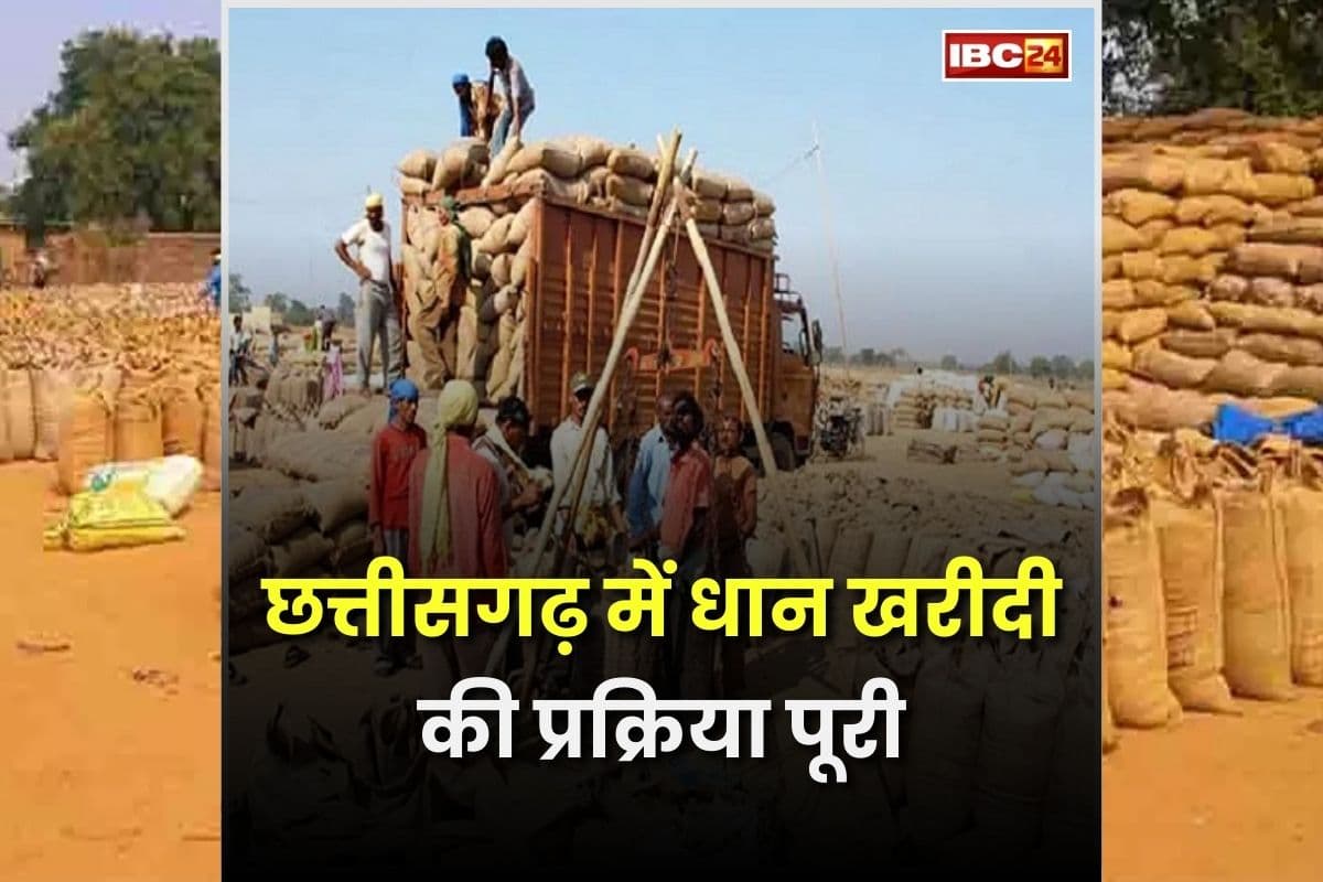 CG Dhan Kharidi Latest News: छत्तीसगढ़ में समर्थन मूल्य पर धान खरीदी पूरी, इस जिले में सबसे ज्यादा हुई खरीदी, देखें जिले वार आंकड़े