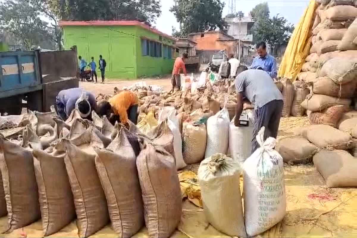 CG Dhan Kharidi Token Last Date: छत्तीसगढ़ में बढ़ेगी धान खरीदी की तारीख? किसानों ने सीएम के नाम सौंपा ज्ञापन, सरकार से की ये बड़ी मांग