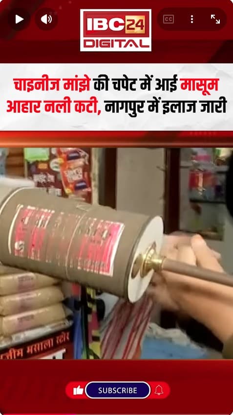 चाइनीज मांझे का खूनी खेल, 4 साल की बच्ची की कटी गर्दन | Chindwara MP News