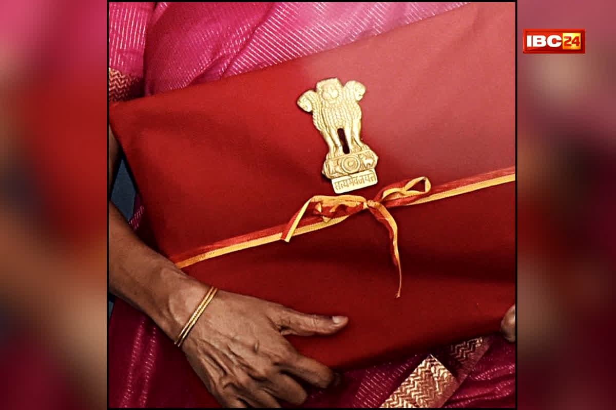 Union Budget 2026: सस्ती कारों का सपना होगा सच! इस बार बजट में ये गाड़ियां होंगी बेहद किफायती? सरकार कर सकती है ये बड़ा ऐलान!