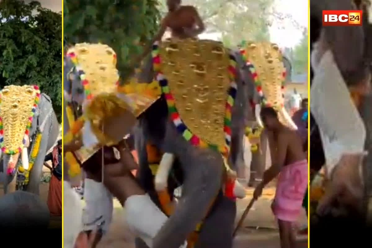 Elephant Attack Viral Video: मंदिर उत्सव के दौरान मची भगदड़! बेकाबू हाथी ने मचाया तांडव… सूंड से उठाकर पुजारी का किया ये हाल, वायरल वीडियो देख कांप जाएंगे
