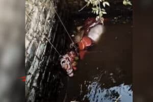 Khandwa Wedding Horse Accident: बारात में दूल्हे की घोड़ी हुआ बेकाबू! डीजे की तेज आवाज ने मचाई अफरा-तफरी, कुएं में लगाई छलांग, फिर दूल्हे ने ऐसे बचाई जान, वीडियो वायरल