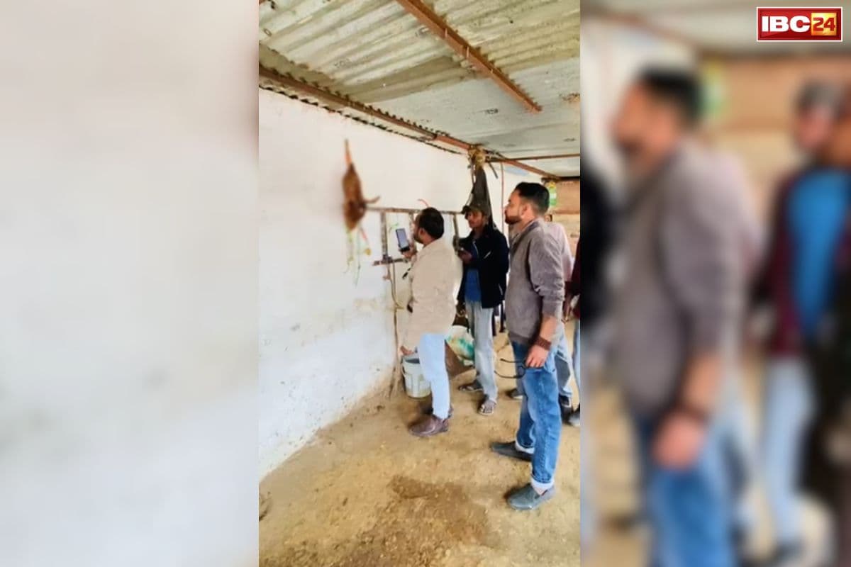 Tikamgarh News: गाय मालिक ने बछड़े का सिर काटकर लटकाया गौशाला में, बजरंग दल के हंगामे के बाद सामने आई चौंकाने वाली वजह, जानकर आप भी हो जाएंगे हैरान