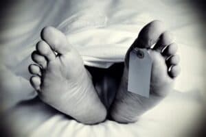 Singrauli News: तेज आंधी-तूफान के बीच गिरा विशाल पेड़, मौके पर हुई महिला की मौत, मासूमों की हालत गंभीर