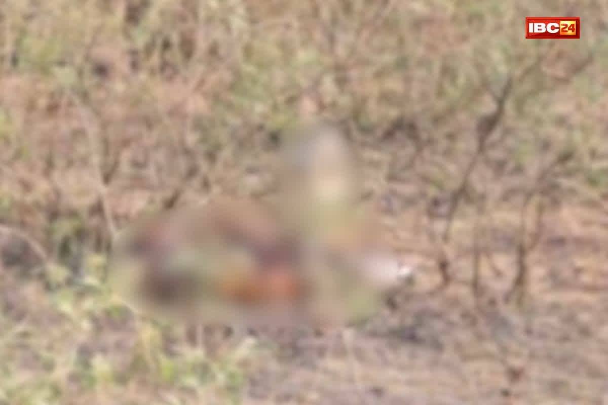 Mandla Crime News : 5 दिनों से चल रही थी तलाश, फिर नर्मदा किनारे इस हाल में मिले युवक-युवती, मंजर देख पुलिस भी रह गई हैरान