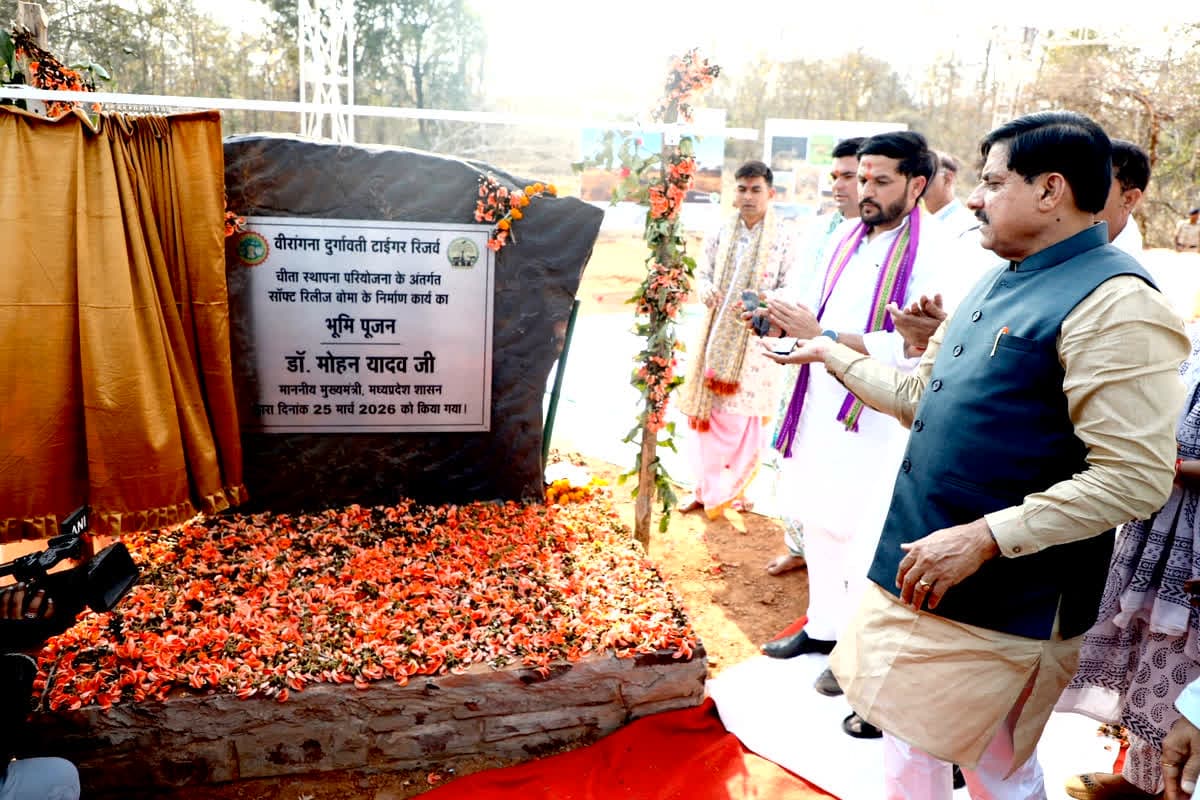 CM Mohan Yadav Birthday : मुख्यमंत्री डॉ. यादव ने अपने जन्मदिन पर वीरांगना दुर्गावती टाइगर रिजर्व को दी बड़ी सौगात, यह जिला बनेगा चीतों का नया बसेरा