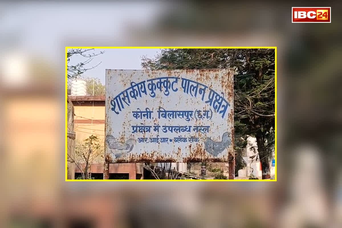 Bilaspur News: छत्तीसगढ़ वासी हो जाए सावधान!… कहीं आप भी इस पोल्ट्री फार्म से तो नहीं मंगाते चिकन, पड़ जाएंगे लेने के देने, जानें क्या है मामला