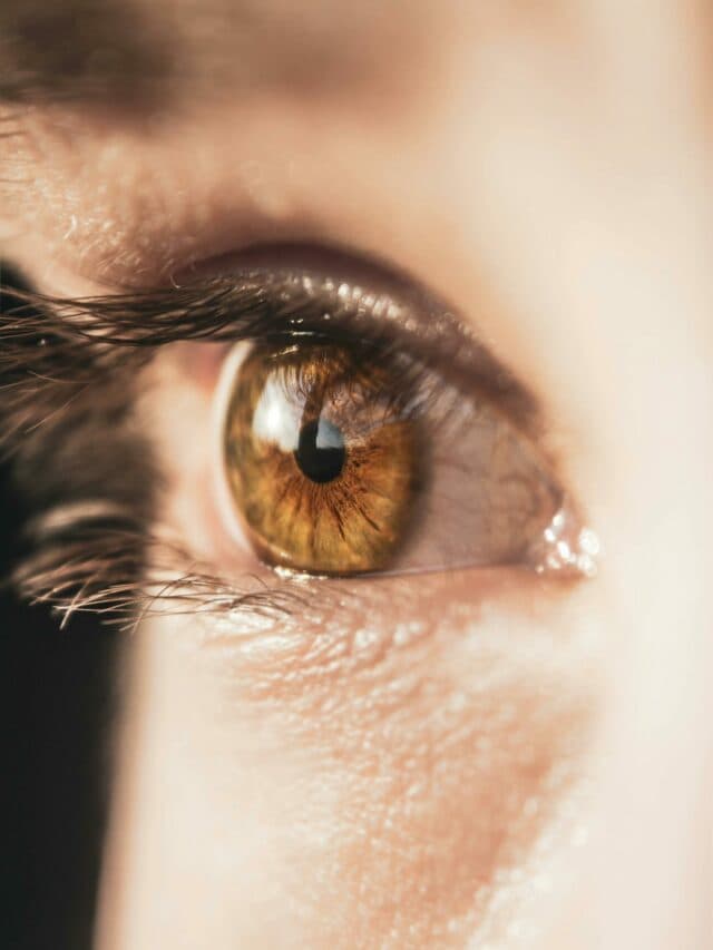 Healthy Eyes Food: आंखों की ताकत बढ़ाने के लिए ये न्यूट्रिएंट्स रिच फूड्स हैं कमाल के!