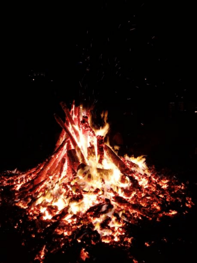 Holika Vastu Tips: होली के बाद Holika की राख से करें ये खास उपाय, चमक उठेगी आपकी किस्मत!