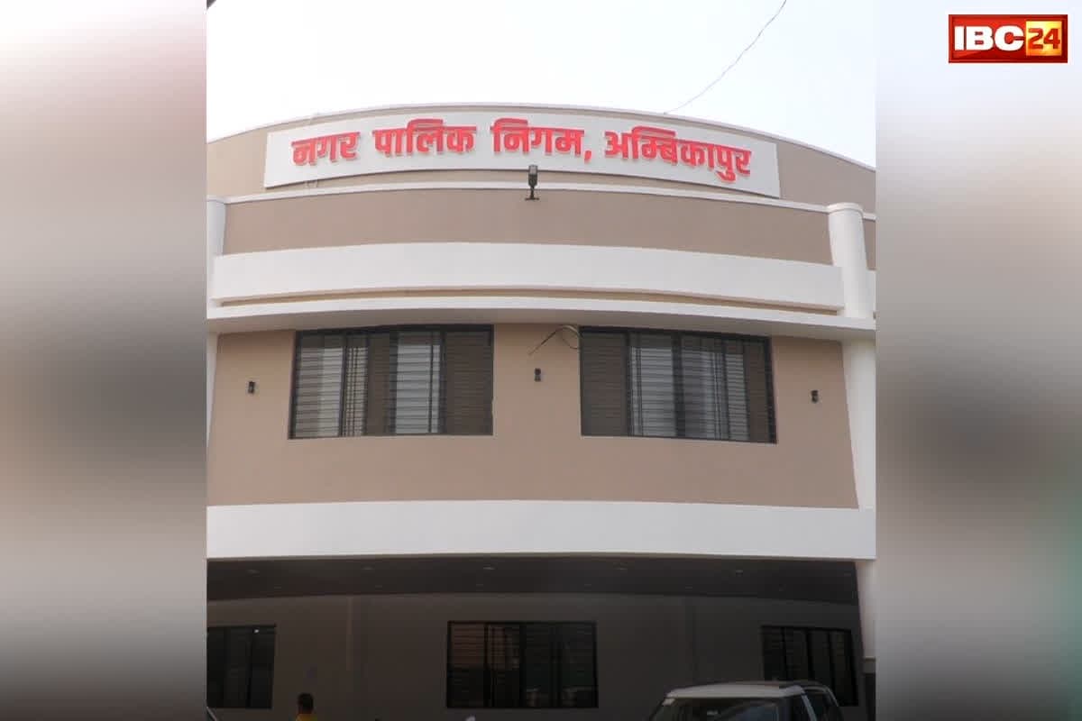 Ambikapur Land Mafia Scam: CG के इस जिले में जमीन का बड़ा फर्जीवाड़ा, फर्जी डेथ सर्टिफिकेट का इस तरह किया इस्तेमाल कि राजस्व विभाग भी नहीं पकड़ पाया