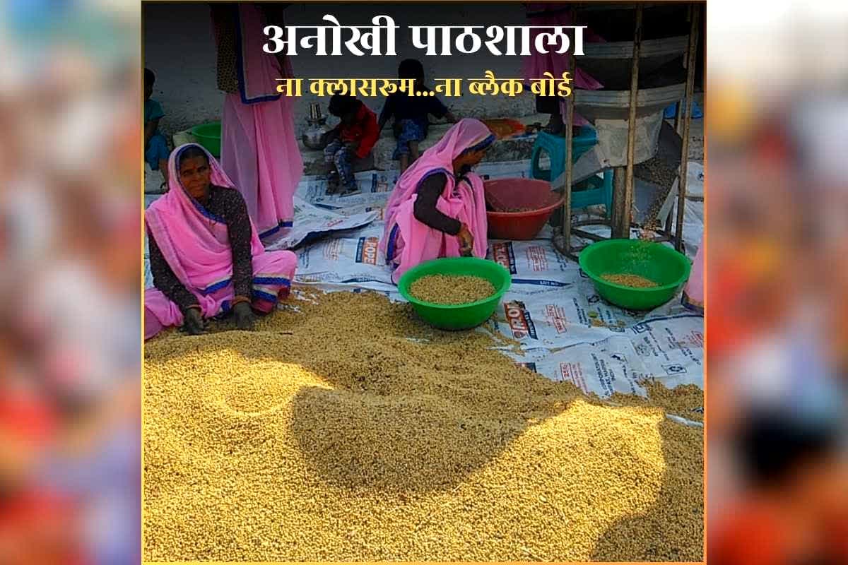 Krishi Pathshala Kya Hai: ‘ये है अनोखी पाठशाला…खेतों में लगती है क्लास…शिक्षा देने खुद चलकर आते हैं टीचर’ प्रशासन की पहल जानकर आप भी कहेंगे, भई वाह…क्या बात है