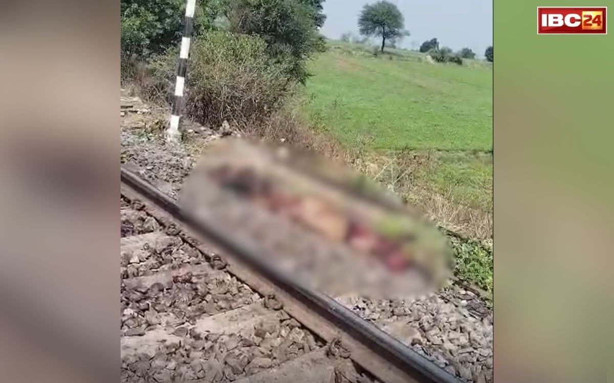 Harda Cow Killing Case: रेलवे ट्रैक पर बांध दी गईं गायें, रात के अंधेरे में किसने रची ये खौफनाक साजिश? सुबह सामने आया दिल दहला देने वाला सच, इस जगह का मामला