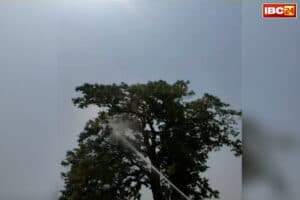 Narayanpur Parrot Rescue Video: अजब-गजब छत्तीसगढ़..! पालतू तोता पकड़ने के लिए बुलवाई गई फायर ब्रिगेड, उसके बाद जो हुआ… इस जिले का मामला