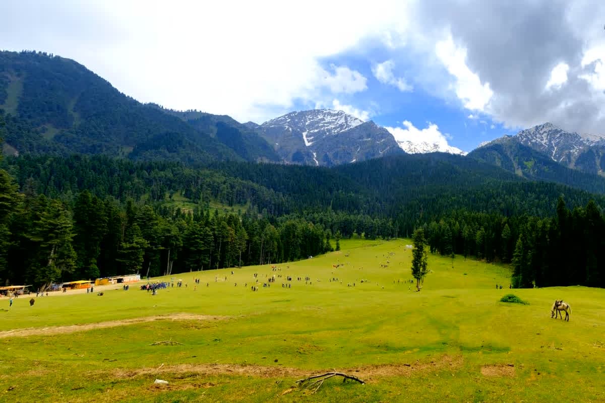 Pahalgam Terror Attack Anniversary : पहलगाम की वो दोपहर! इंदौर के बेटे ने बयां किया मौत का वो मंजर, जब पिता ने अपनों के लिए दे दी अपनी जान, बोला ‘काश मैं…