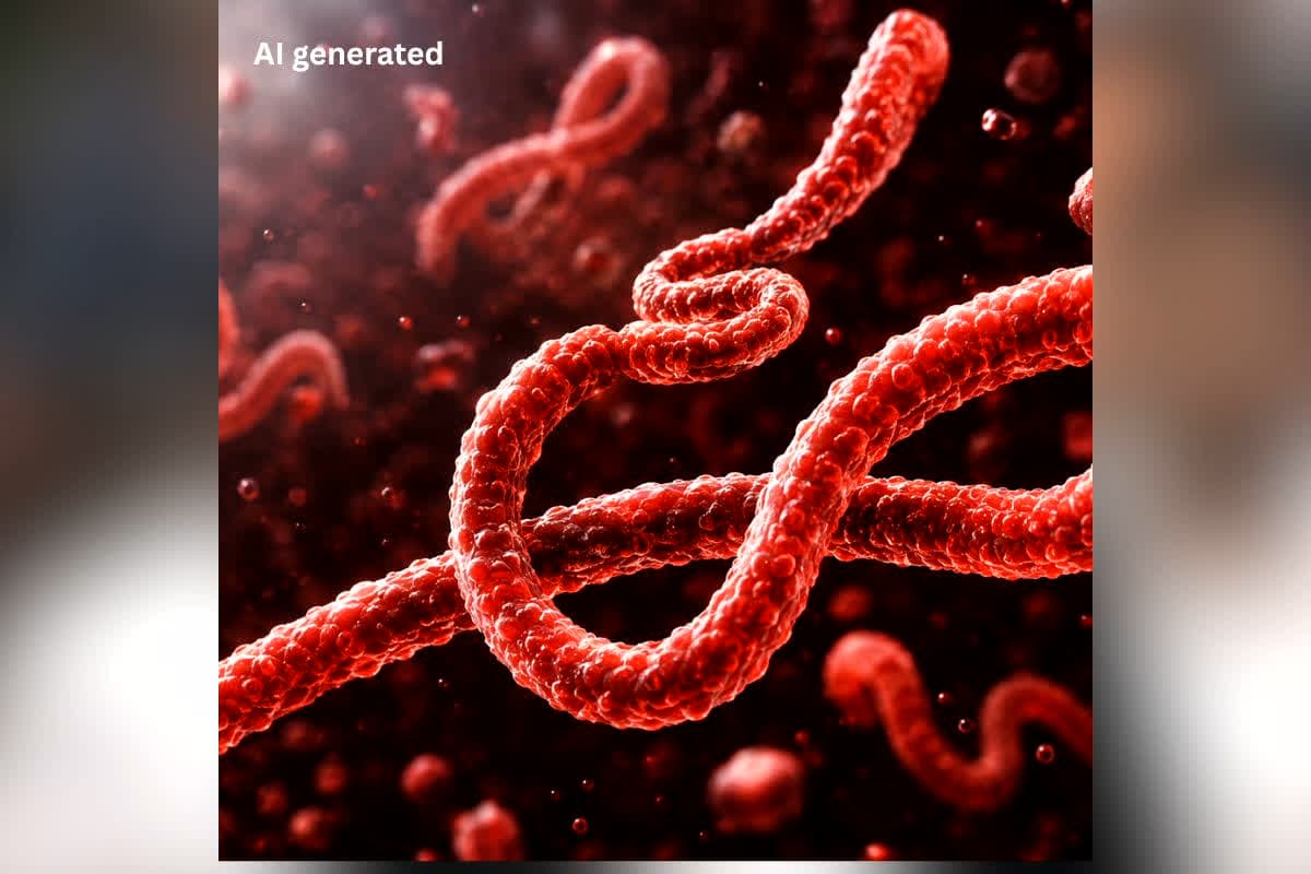 Ebola Outbreak 2026