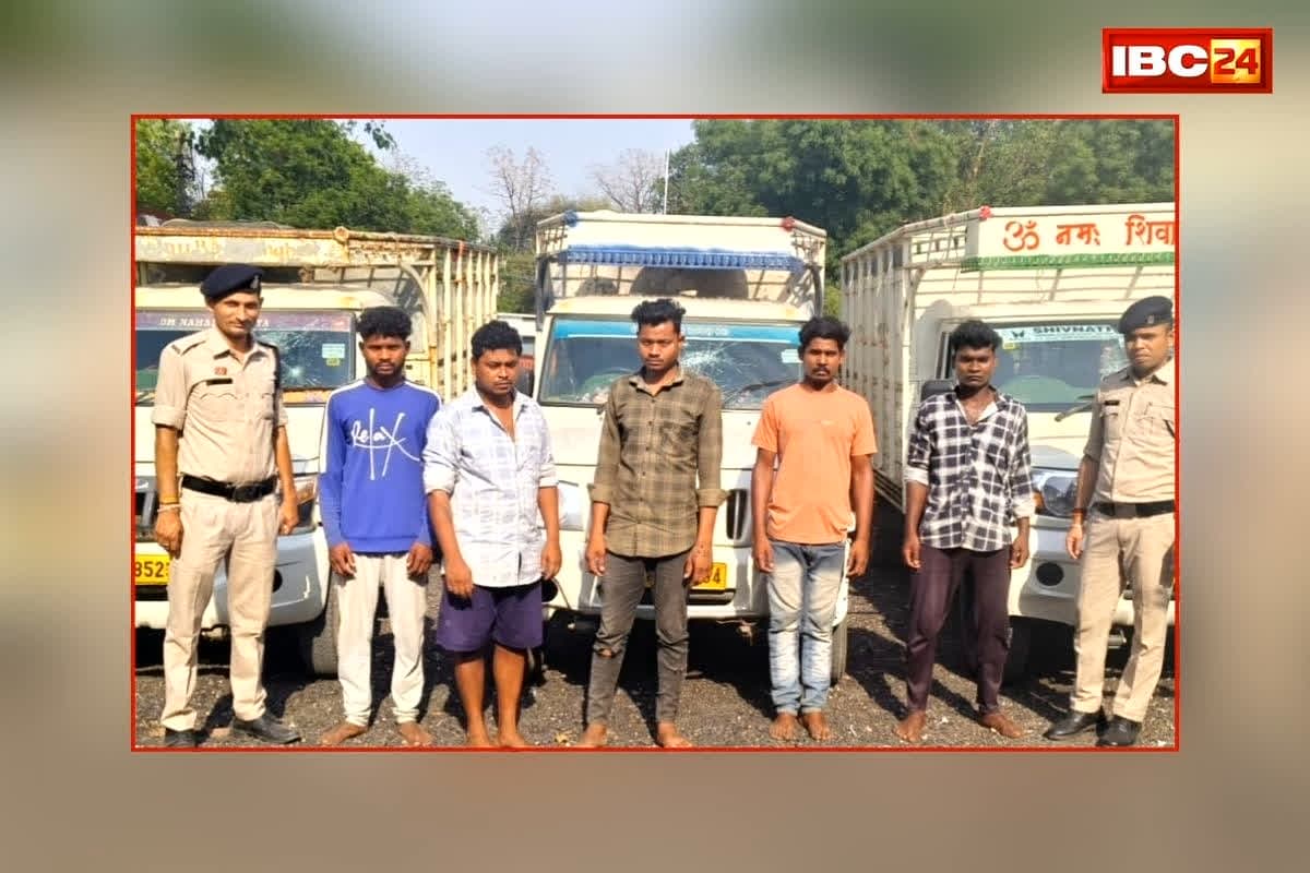 Janjgir-Champa Buffalo Smuggling: भैंसों के साथ इस वारदात को अंजाम देने वाले थे आरोपी, पुलिस ने फिल्मी स्टाइल में मारी एंट्री, गिरोह के इतने आरोपियों को दबोचा
