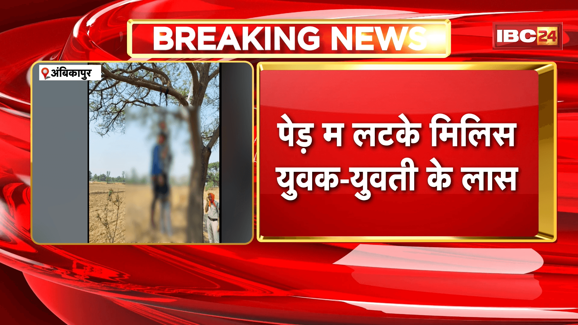Ambikapur Suicide News : पेड़ पर लटके मिली युवक-युवती की लाश | घटना के जांच में जुटी उदयपुर पुलिस