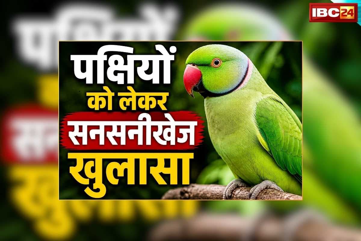 Birds Masturbation is Natural: इंसान ही नहीं आपके घर का पालतू तोता भी करता है हस्तमैथुन, वैज्ञानिकों ने गहन शोध के बाद किया सनसनीखेज खुलासा