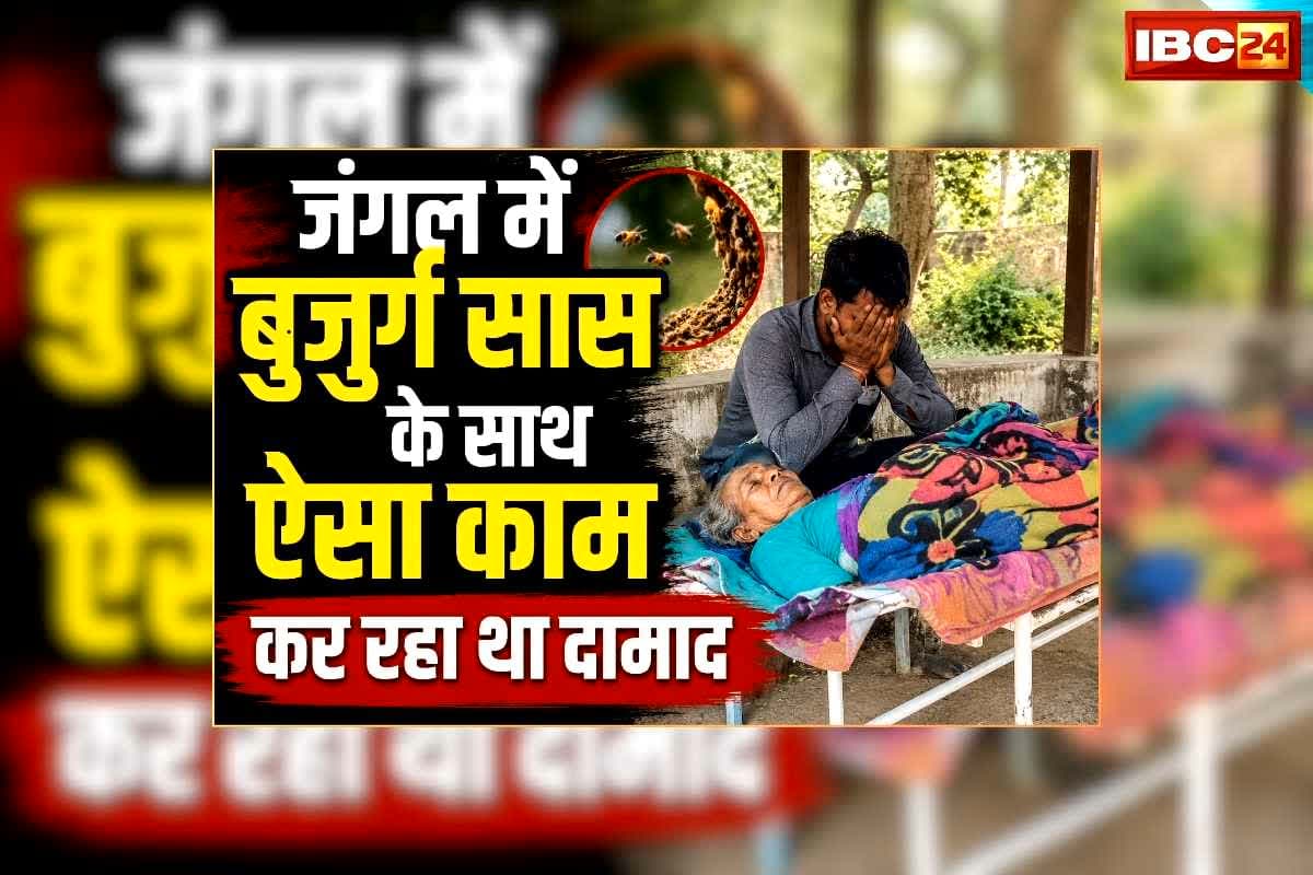 Saas Damad in Jungle: जंगल में बुजुर्ग सास के साथ ऐसा काम कर रहा था दामाद, अचानक मधुमक्खियों ने कर दिया हमला, थम गई महिला की सांसें