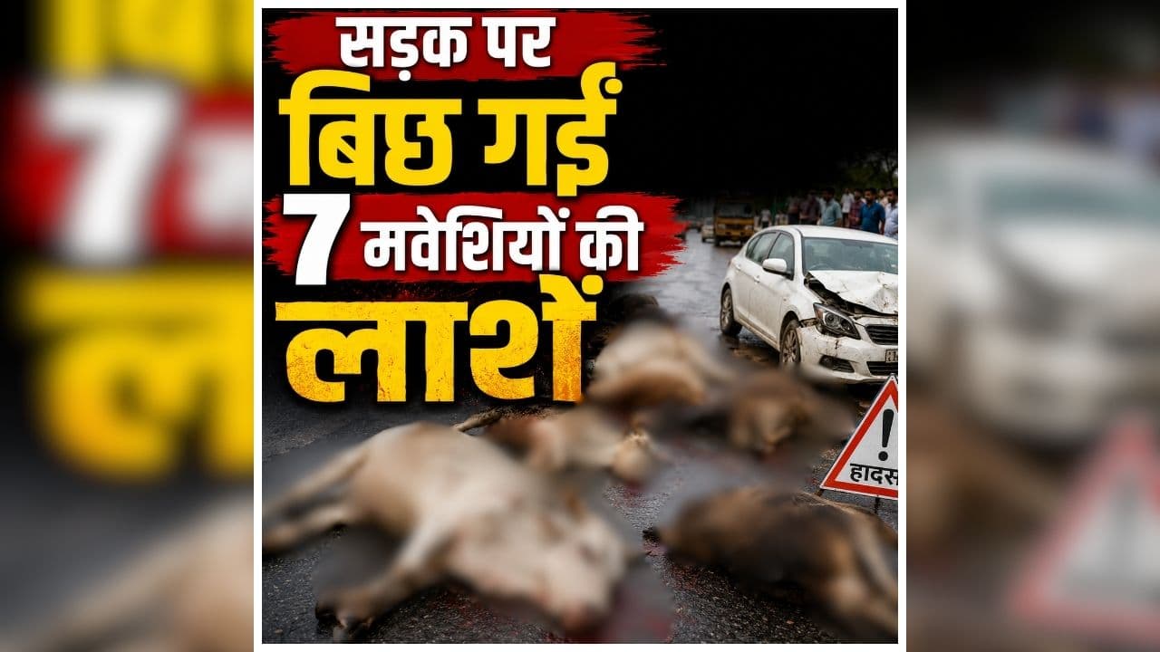 Baloda Bazar Road Accident: सड़क पर ही मची अफरातफरी, देखते ही देखते हुआ बड़ा हादसा, 7 मौतों से मचा हड़कंप