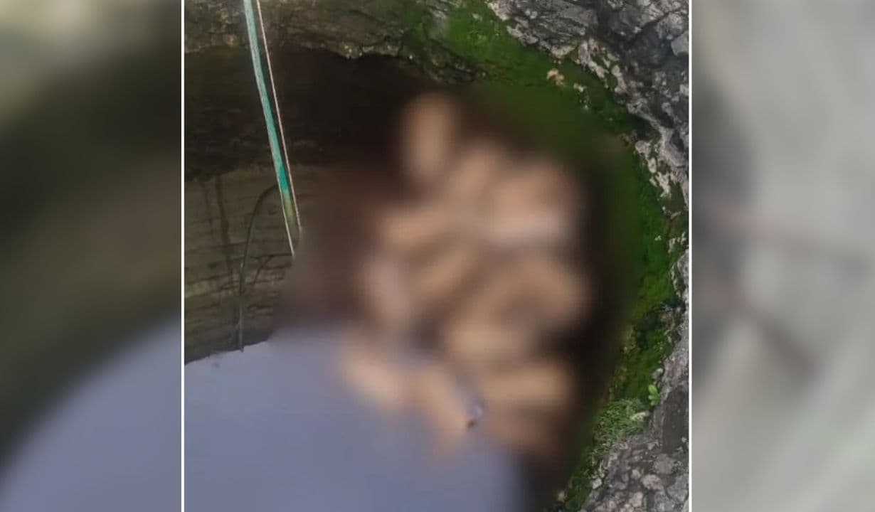 Shajapur News: कुएं में तैर रही थीं 13 हिरणों की लाशें, देखकर ग्रामीणों के उड़ गए होश, जानें एक साथ कैसे मौत के मुंह में समां गए सभी
