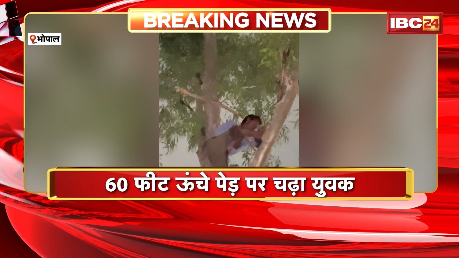 Bhopal News: 60 फीट ऊंचे पेड़ पर चढ़ा युवक। संकरी गली होने के कारण नहीं पहुंच सकी रेस्क्यू वैन। देखिए..