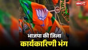 BJP District Executive Committee Dissolved: भाजपा की पूरी जिला कार्यकारिणी भंग.. प्रदेश अध्यक्ष ने जारी किया आदेश तो मची पार्टी में खलबली, जानें क्या है बड़ी वजह..