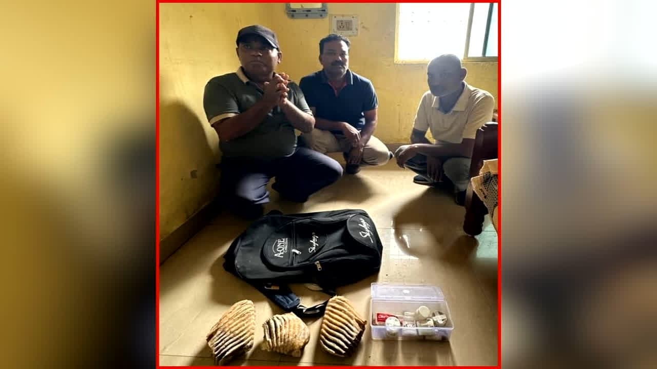 Smugglers Arrested In Balrampur: धर्मशाला में छिपकर इस चीज की तस्करी का प्लान बना रहे थे आरोपी, वन विभाग की टीम ने तीन तस्करों को किया गिरफ्तार, जब्त की ये कीमती चीजें