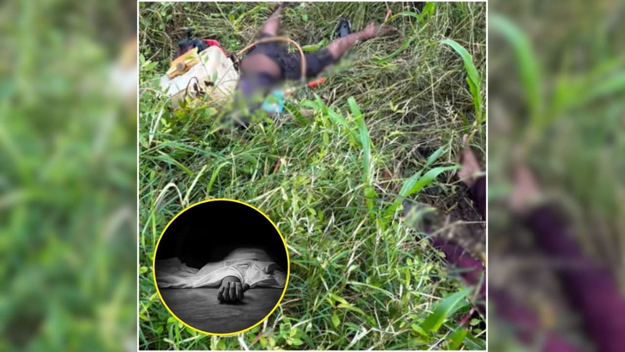 Bhopal News: खेत में दवा का छिड़काव कर रहा था बेटा, तभी हुआ कुछ ऐसा…बचाने पहुंचे पिता की भी मौत, रातभर खेत में ही पड़े रहे शव /image: Social Media