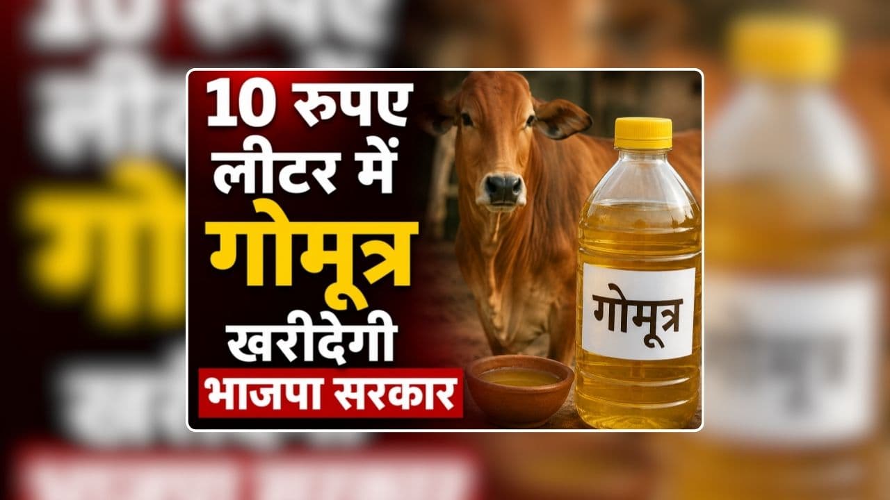 Gomutra Kharidi in UP: मिनरल वॉटर के रेट में गोमूत्र खरीदेगी भाजपा सरकार, महिला स्व सहायता समूहों को मिलेगा प्रति लीटर 2 रुपए कमीशन, पशु पालकों के लिए आई अच्छी खबर
