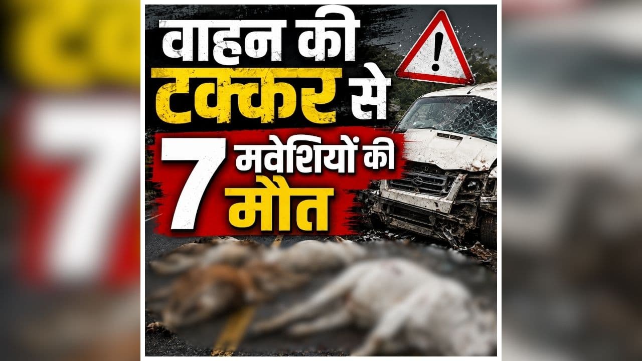Kawardha Accident News
