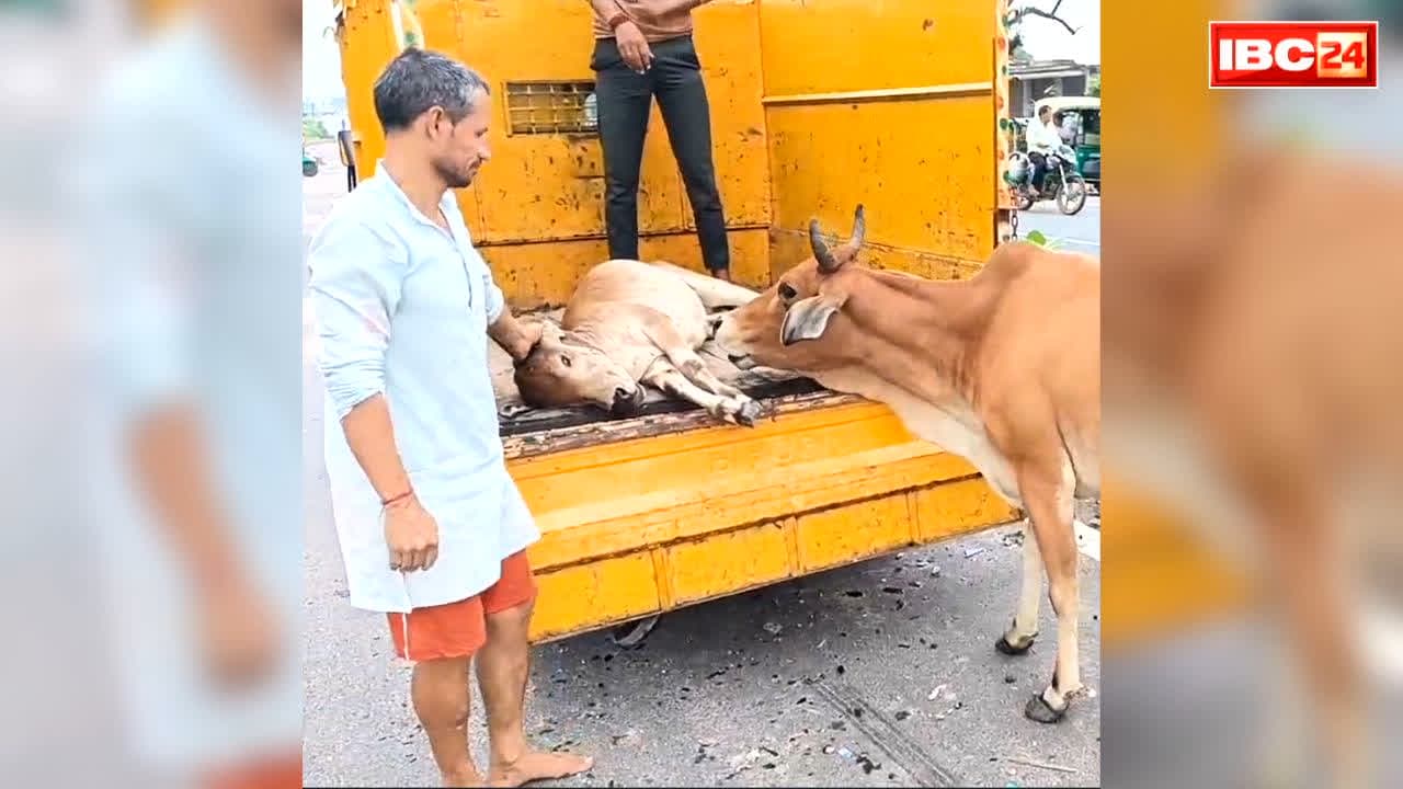 Shivpuri Emotional Viral Video