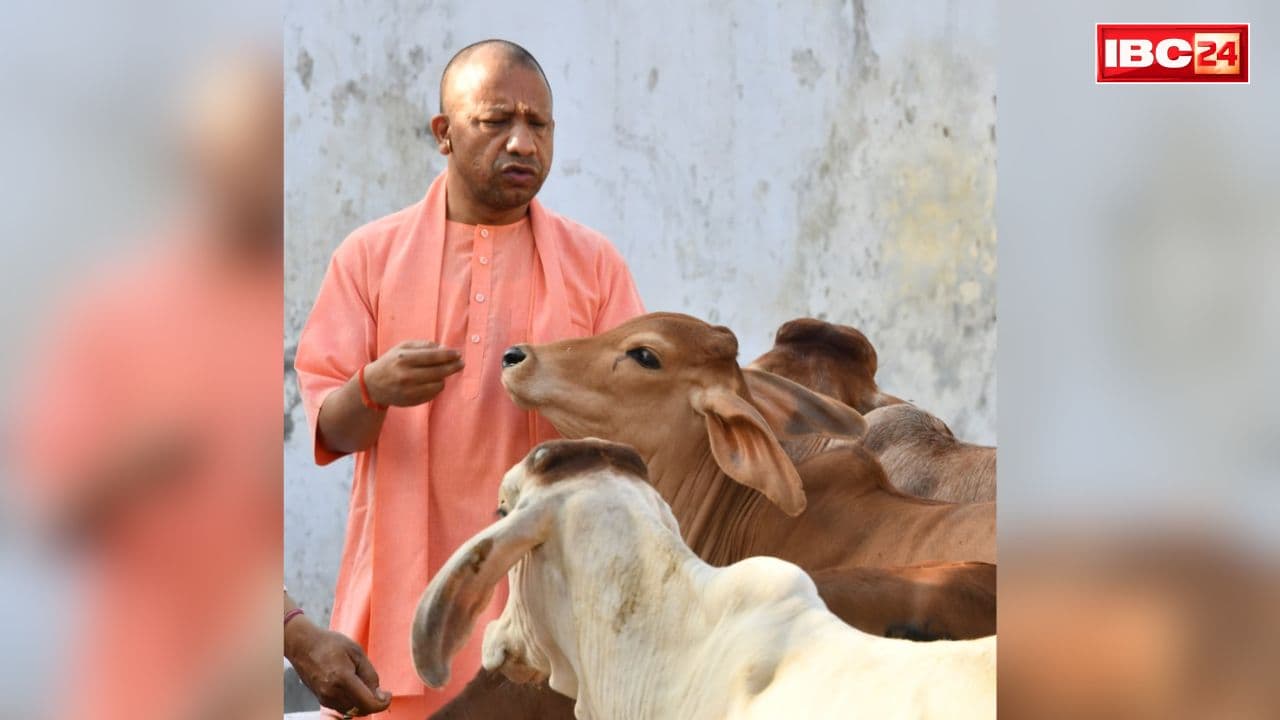 CM Yogi Adityanath Vision: गोशालाओं को अब संरक्षण के साथ बनाया जाएगा आत्मनिर्भरता का मॉडल.. बैठक में 25 सूत्रीय एजेंडे पर विस्तार से विचार-विमर्श किया गया