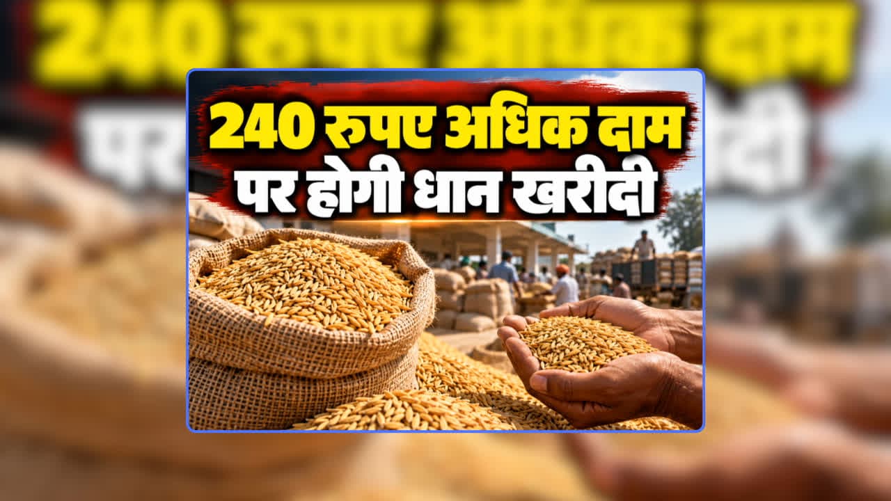 Paddy Price Hike 2026-27 News Update: इस बार 240 रुपए अधिक दाम पर धान खरीदी करेगी भाजपा सरकार, दिवाली से पहले किसानों के लिए खोला सौगातों का पिटारा, जानिए क्या होगा प्रति क्विंटल रेट