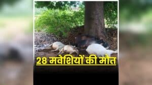 Dantewada Lightning Strike: गांव में अचानक मची अफरातफरी, देखते ही देखते बदल गया पूरा मंजर, एक साथ 28 मौतों से मचा हड़कंप