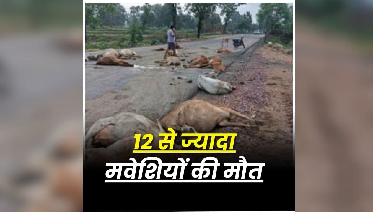 Kanker Road Accident: छत्तीसगढ़ के इस जिले में दर्दनाक हादसा, देखते ही देखते मच गई अफरा-तफरी, 12 से ज्यादा मौतों से मचा हड़कंप