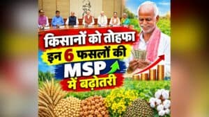 Modi Government Increased MSP: नवरात्रि से पहले किसानों को बड़ा तोहफा, मोदी सरकार ने इन 6 फसलों की MSP में की बढ़ोतरी, अब इतने रुपए की दर से होगा भुगतान