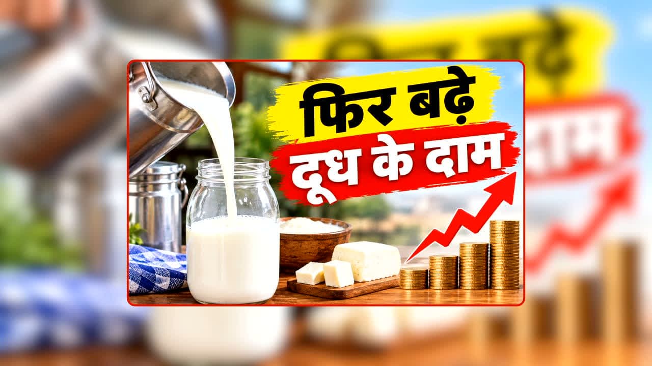 Milk Price Hike: फिर बढ़े दूध के दाम, लेकिन ग्राहकों को नहीं देना होगा ज्यादा पैसा! आखिर बढ़े दाम का पैसा कौन भरेगा? यहां जानें