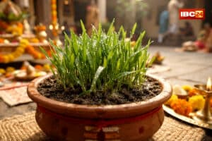 Shardiya Navratri 2026: कब से शुरू हो रही है शारदीय नवरात्रि? जानिए कैसे नौ दिनों में उगने वाले ‘जौ’ खोलते हैं आपके आने वाले समय का राज़!