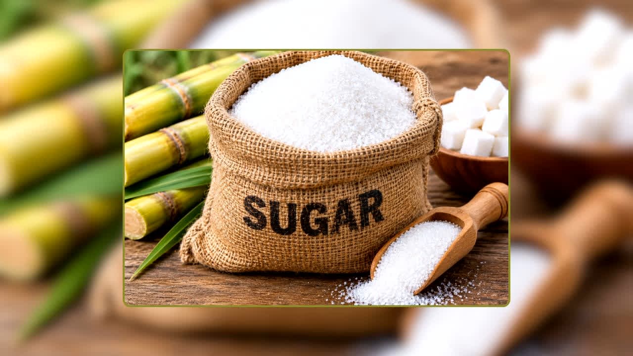 Sugar Price Today: त्योहारी सीजन में आम जनता के लिए बड़ी राहत! 13 रुपये घट गए चीनी के दाम, अब 1 किलो के लिए देने होंगे इतने रुपये