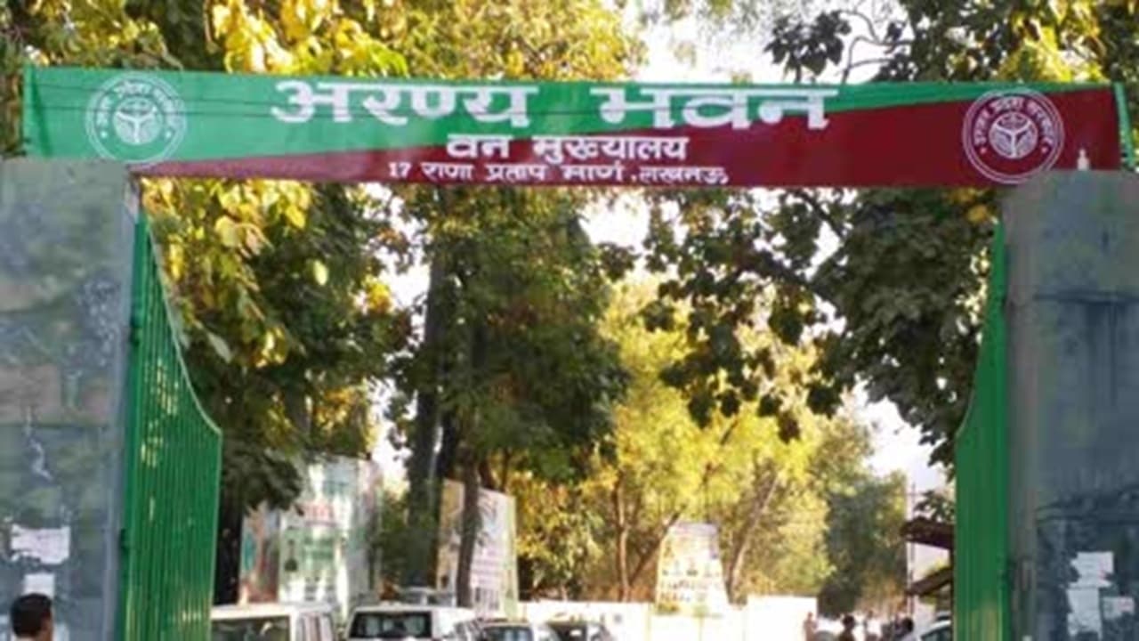 UP News: वन्य जीव संरक्षण के लिए वन विभाग की बड़ी पहल, इस दिन से स्कूलों में होंगी प्रतियोगिताएं, इन जू लॉजिकल पार्कों में छात्रों को फ्री एंट्री