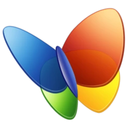 MSN