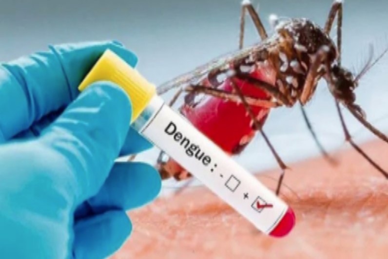 जिले में पसरा डेंगू का आतंक, एक ही दिन में मिले 18 मरीज, स्वास्थ्य अमले में मचा हड़कंप