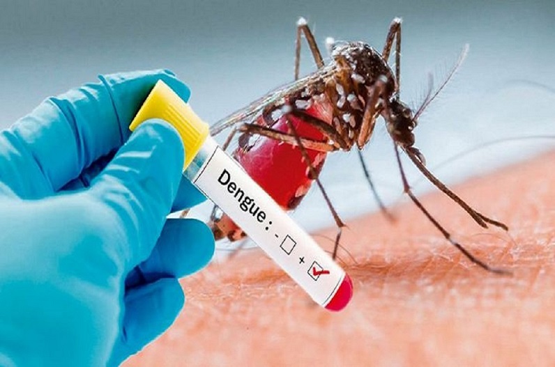 डेंगू का कहर: राजधानी के 12 इलाके डेंगू के हॉटस्पॉट, तेजी से बढ़ रहे मामले