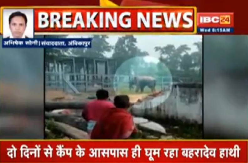 हाथी पुनर्वास केंद्र के पास 2 दिनों से डेरा जमाया हुआ है जंगली हाथी बहरादेव, रेस्क्यू सेंटर में घुसने का प्रयास