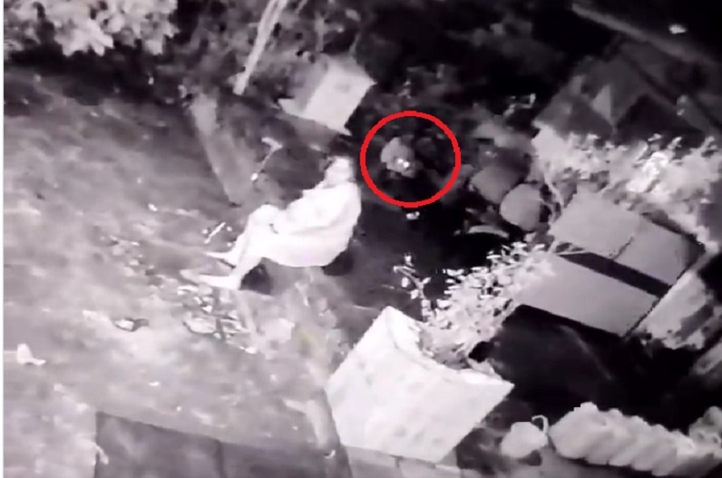 शाम के वक्त घर के बाहर बैठी थी बुजुर्ग, पीछे घात लगाए बैठा था तेंदुआ.. हमले का वीडियो वायरल