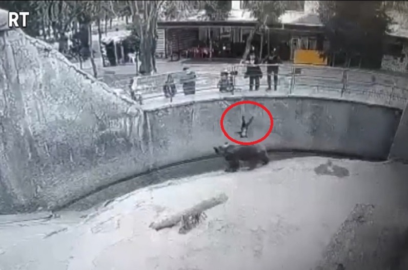 जू गई महिला ने 3 साल की बच्ची को फेंक दिया भालू के सामने, फिर जो हुआ कहेंगे चमत्कार.. वीडियो वायरल