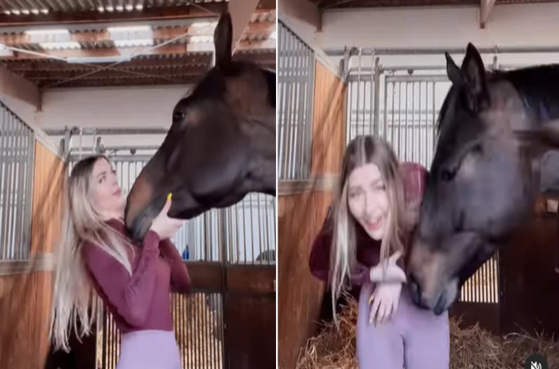 Horse Misbehave with Girl While Kissing