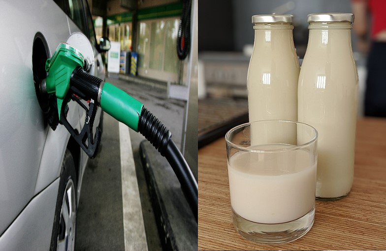 12 रुपए बढ़े पेट्रोल के दाम, 200 रुपए प्रति लीटर तक जा सकती है दूध की कीमत, इस देश की जनता पर ताबड़तोड़ पड़ रही महंगाई की मार