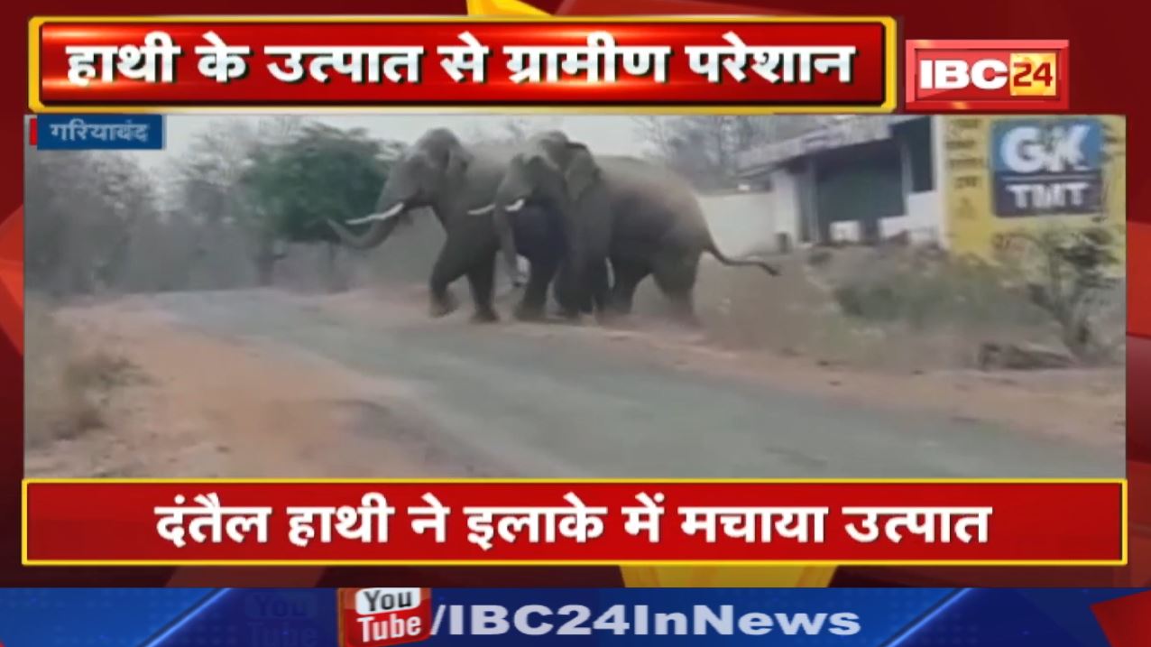 Gariyaband Elephant Attack : पांडुका वनपरिक्षेत्र में हाथी का उत्पात | ग्रामीणों ने शोर मचाकर भगाया